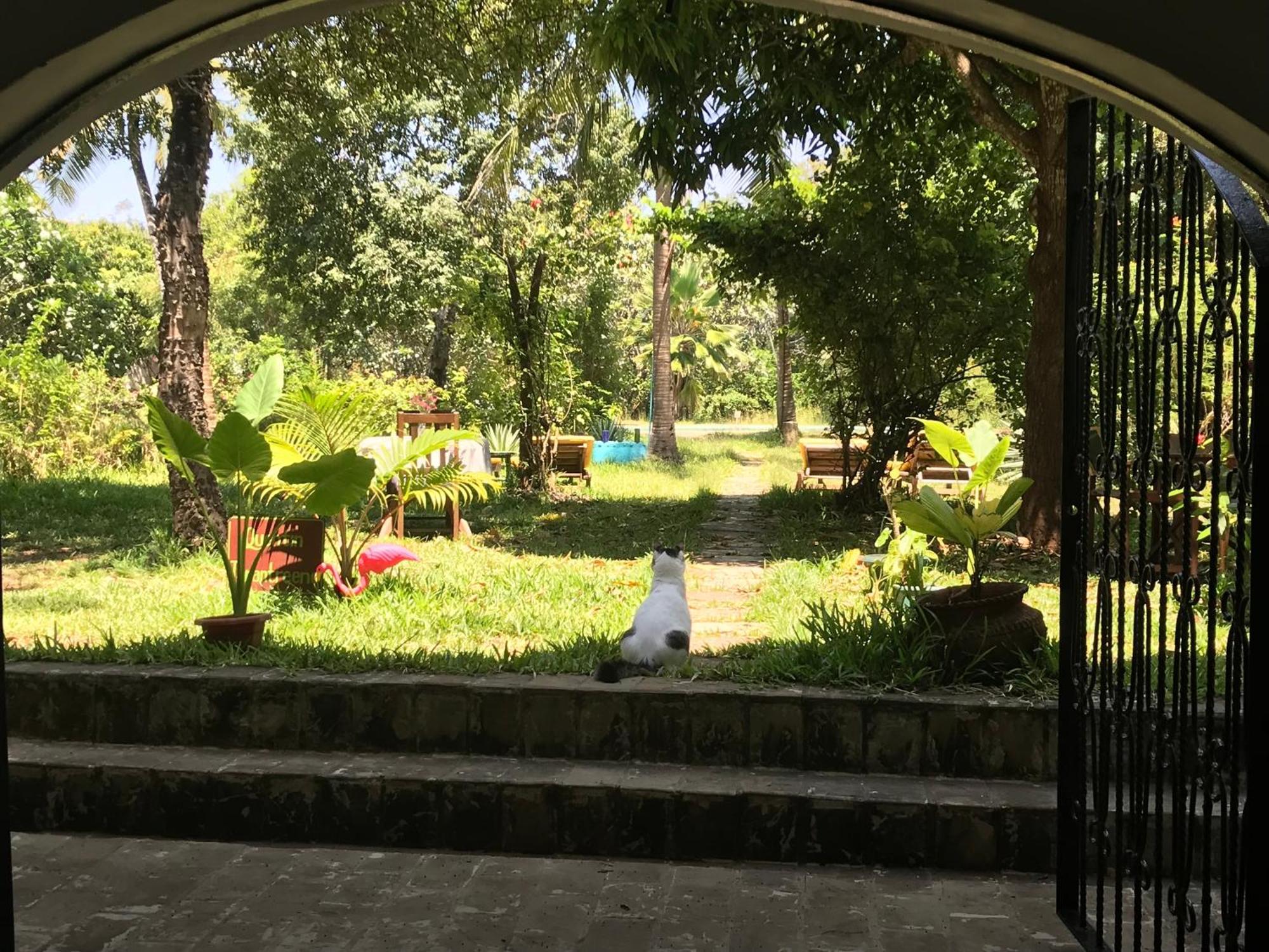 Hotel Footprints House Diani Beach Exterior foto